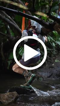 BIB:  <button type="button" onclick="openModal(27242374)" class="btn btn-primary btn-sm float-right" data-toggle="modal" data-target=".modal-high-quality">
                <i class="fa fa-download"></i> Download
                </button>